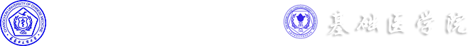 MILE米乐官方网站